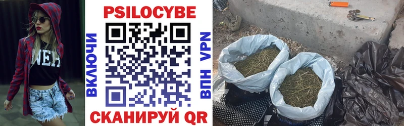 Галлюциногенные грибы мицелий  Гулькевичи 