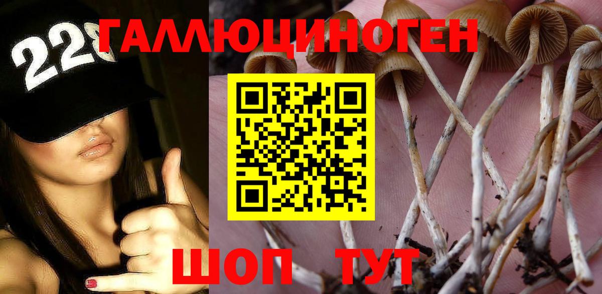 Галлюциногенные грибы GOLDEN TEACHER Гулькевичи