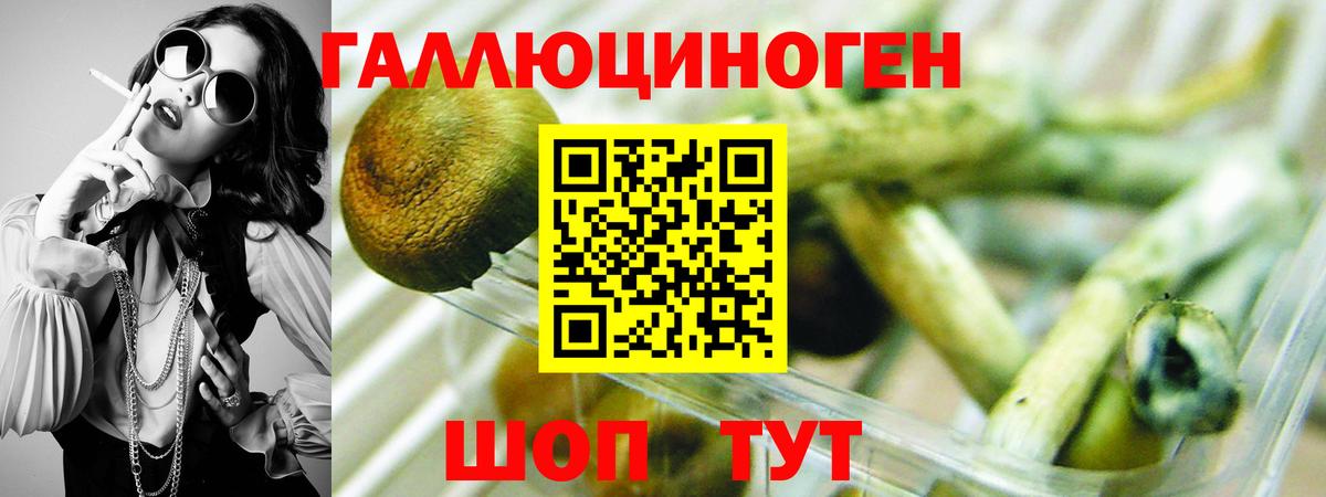 Гулькевичи  Псилоцибиновые грибы ЛСД  Вход с VPN 